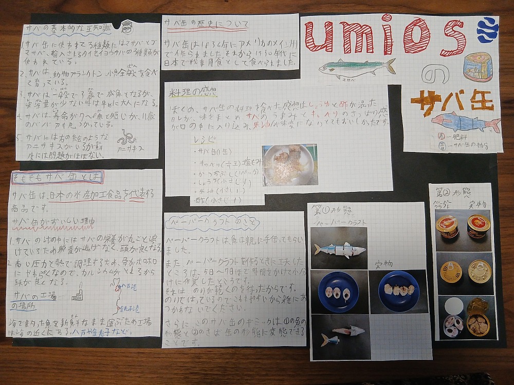 小学生男子の自由研究