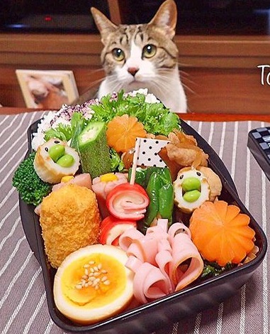 にっこり幸せ♪コーンクリームコロッケの鳥さんお弁当